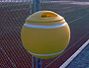 Abfallbeh�lter 